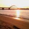 tacony palmyra bridge