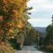 Fall foliage in Johnstown