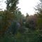 fall morning