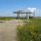 Abandonded Gas Station