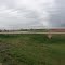 Kansas Cornfield