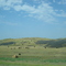South Dakota fields and haystcks