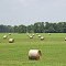 Hay Bales in south Perry County (Picture taken June 12, 2013.)