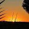 Sunrise- Mohave Valley, Az. 11/25/12
