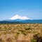 Distant Mt. Shasta May 24, 2011