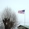 The flag with heavily trimmed elm