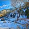 Six Mile Canyon