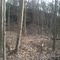 rock wall from railroad cut perk trail