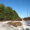 LIPA Power ROW Peconic Bog Preserve