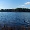 Fox Pond at Manorville
