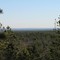 Bald Hill Manorville