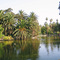 "Parque de los patos"