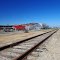 I wonder if this stretch of tracks brought the nice red caboose into where it rests some time ago.  I noticed a portion of an old  set of tracks that spured off of these at one time, still embedded in Citrust St and heading towards this property, 2/2013