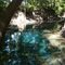 Wilson Blue Spring