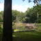 Lake in the woods
