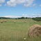 Summer in Antrim County