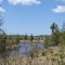 Finch Creek