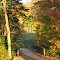 Autumn View Over Bridge In Bellaire