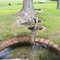Providence Spring