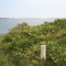 Sesachacha Pond