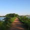 Loon Lake Park peninsula