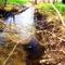 Creek
