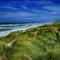 Wind swept and pristine