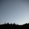 Tree Silhouettes- Lake Pillsbury