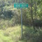 Entering Gene Autry