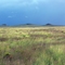 Jaral Cyn. Albuquerque