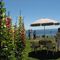 Hollyhocks on the beach, south Point Roberts