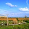 Community Garden and Pumpkin Patch