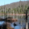 Binney Pond
