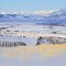 Wildrye creates golden waves across early winter snow  (NE￪)