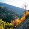 Wichup Knoll in Dry Creek Canyon (W￪)