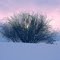 Winters Eve