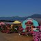 Flowers For Sale
