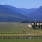 Serious Farming in The USA