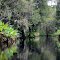 Arbuckle Creek