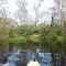 Arbuckle Creek