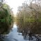 Arbuckle Creek