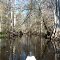 Arbuckle Creek