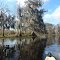 Arbuckle Creek