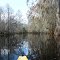 Arbuckle Creek