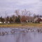 Antigo Lake Wi.