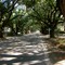 South Boundary Ave., Aiken, SC