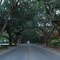 South Bondary Road, Aiken SC