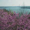 Lake Ozark Spring/GDanielPernell.com
