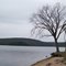 Lake of the Ozarks State Park