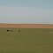 Wide open expanse in northwestern Oklahoma
